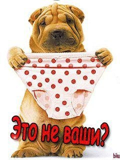 Приколы
