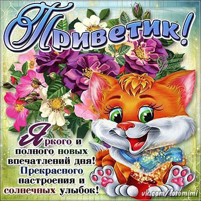 Привет