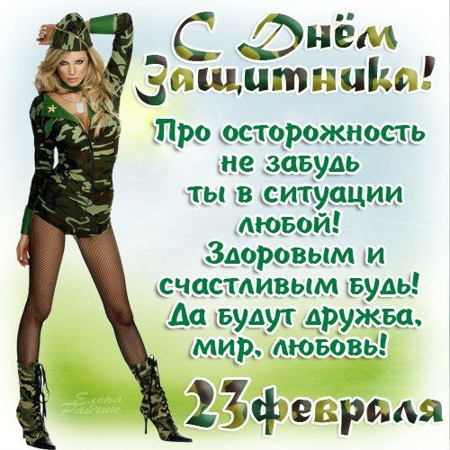 День защитника Отечества (23 февраля)