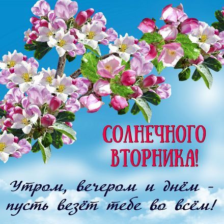 Вторник