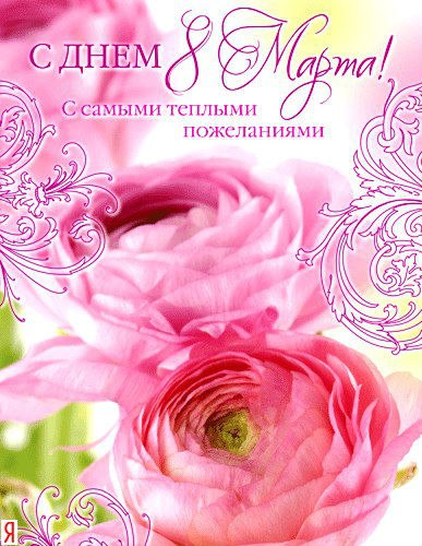 Международный женский день (8 марта)