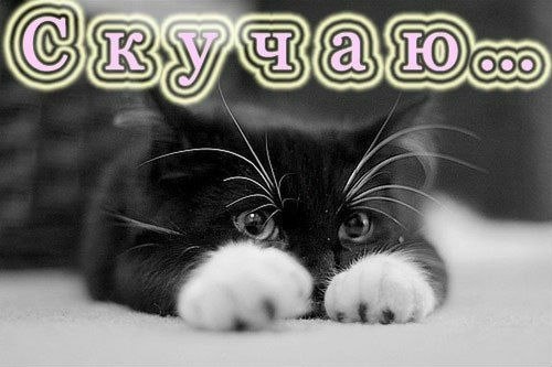 Открытка «Скучаю» №2416
