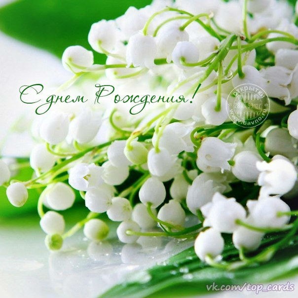 День рождения