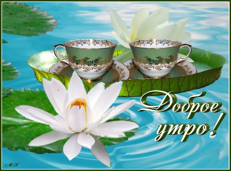 Доброе утро