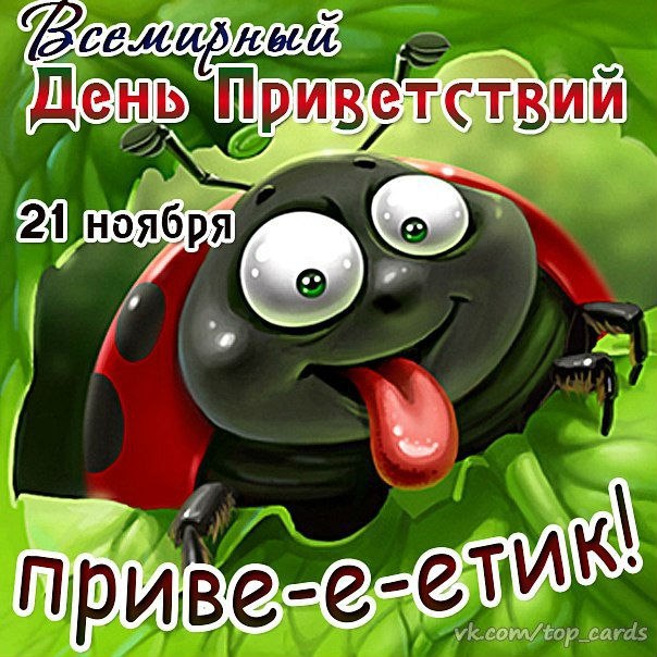 Привет