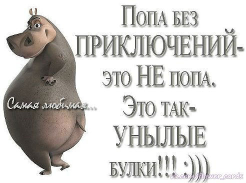 Приколы