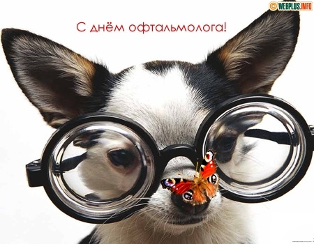 Открытка «День офтальмолога» №5985