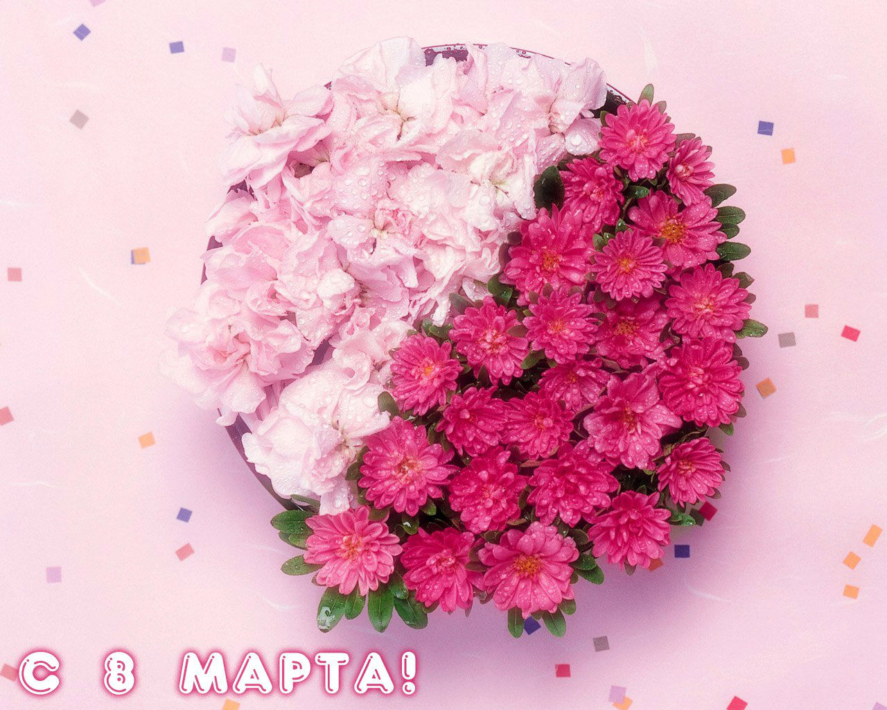 Международный женский день (8 марта)