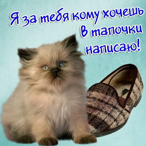 Приколы