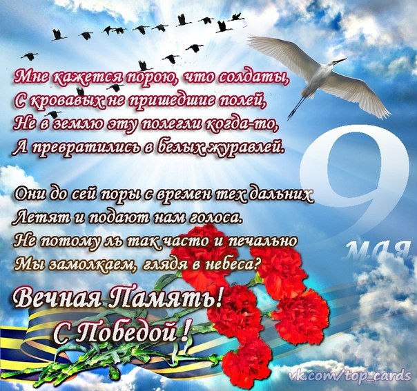 День победы (9 мая)
