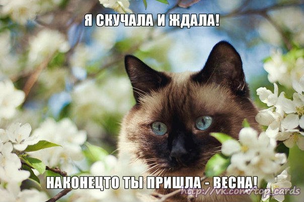 Открытка «Времена года» №4552