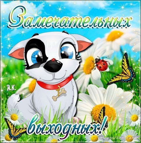 Открытка «Выходные» №1618