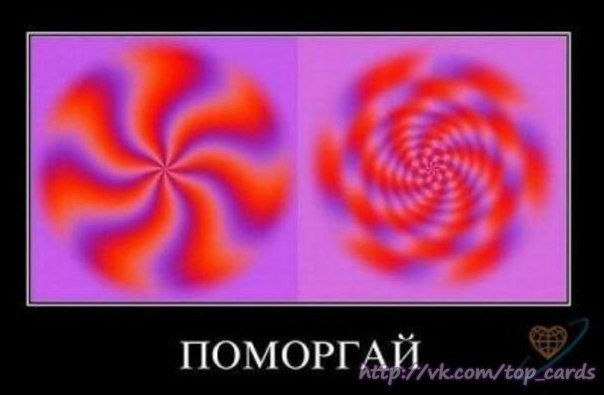 Приколы