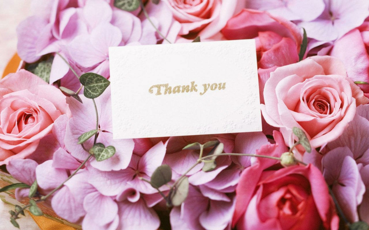 Открытка «Международный день «Спасибо» (International Thank You Day)» №1788
