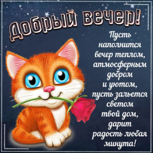 Добрый вечер