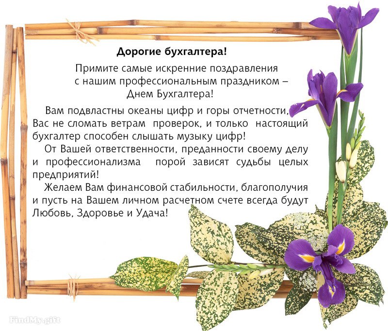 День бухгалтера