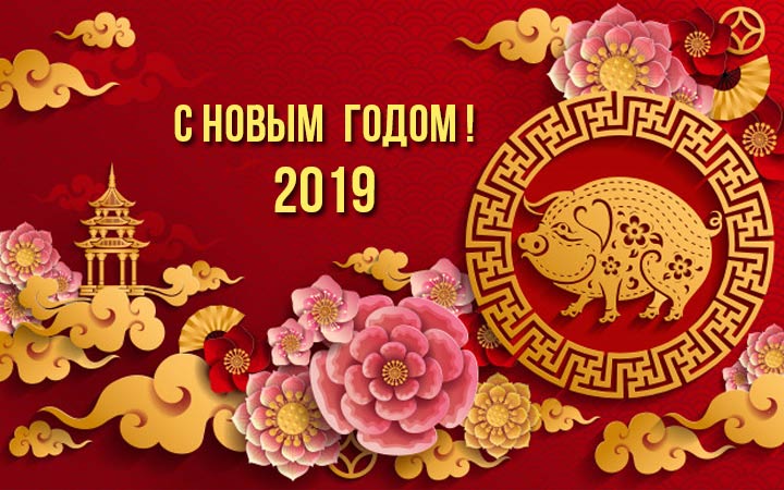 2019