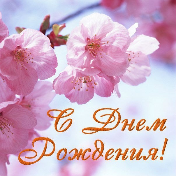 День рождения