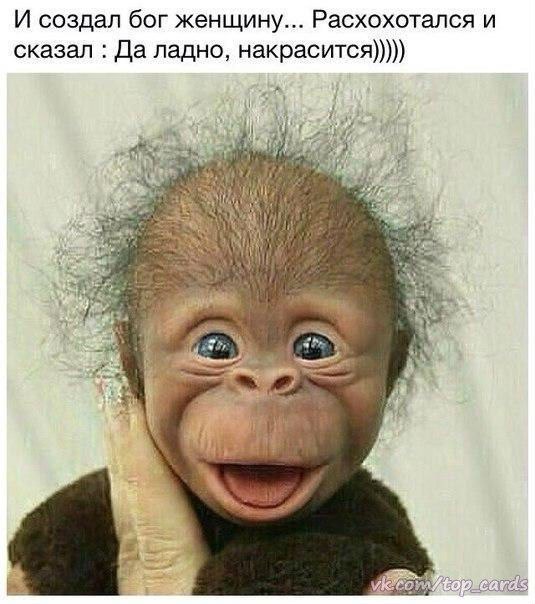 Открытка «Приколы» №2805