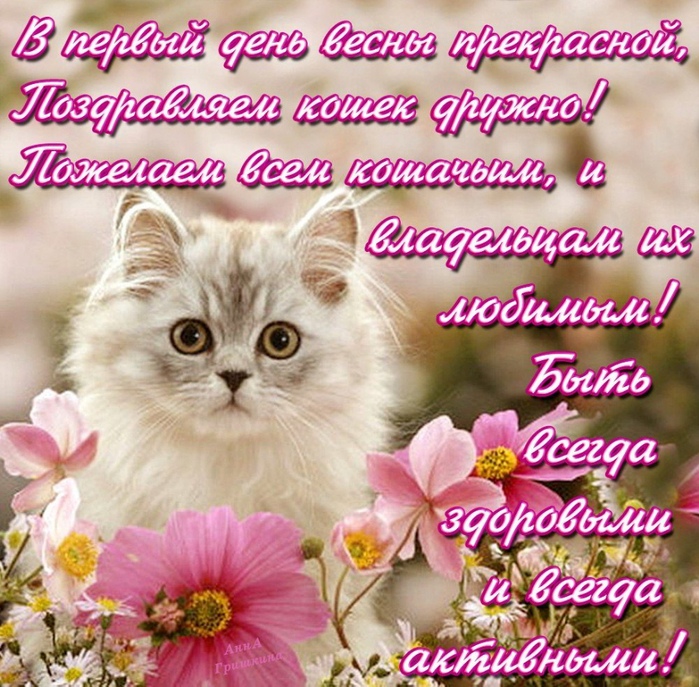 Открытка «День кошек» №6736