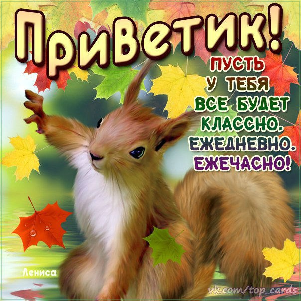 Привет