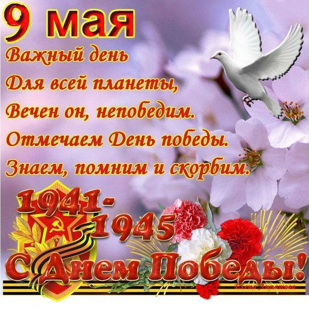 День победы (9 мая)
