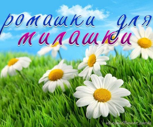 Для друзей