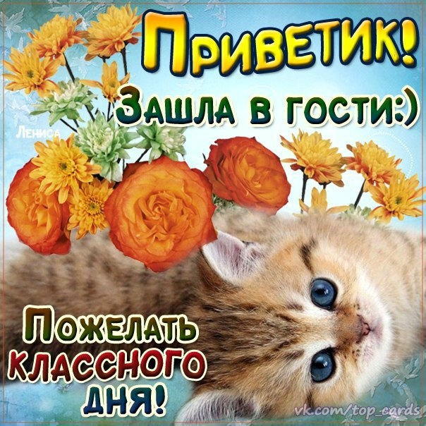 Открытка «Привет» №2395