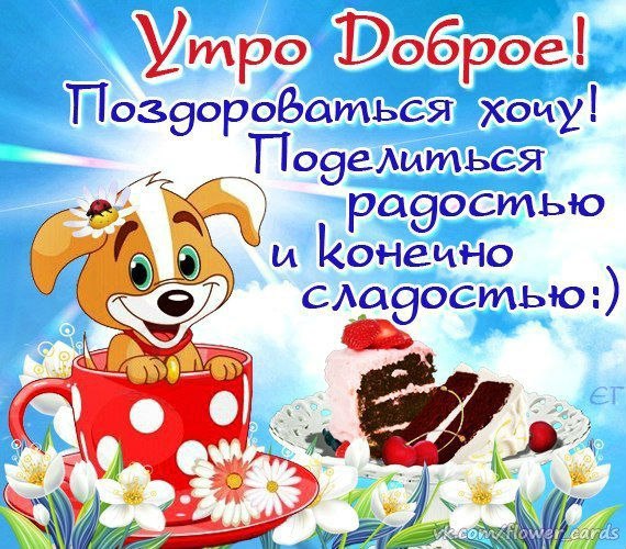 Доброе утро