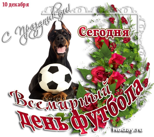 Открытка «Всемирный день футбола» №6517
