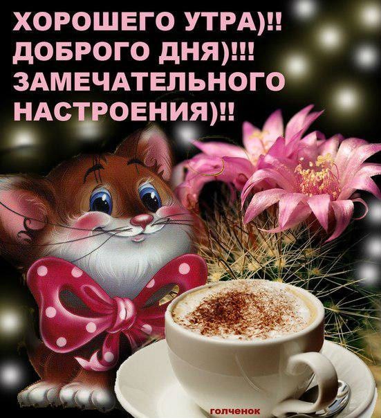 Доброе утро