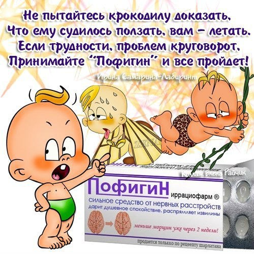 Приколы