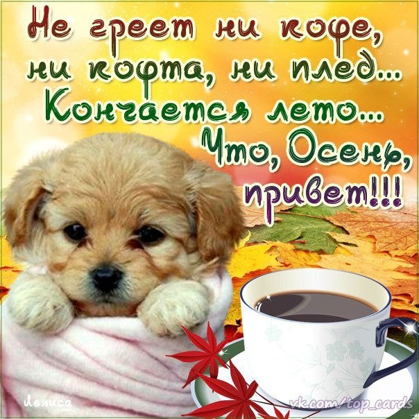 Открытка «Осень» №3197