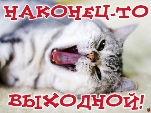 Выходные