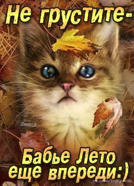 Открытка «Осень» №3204