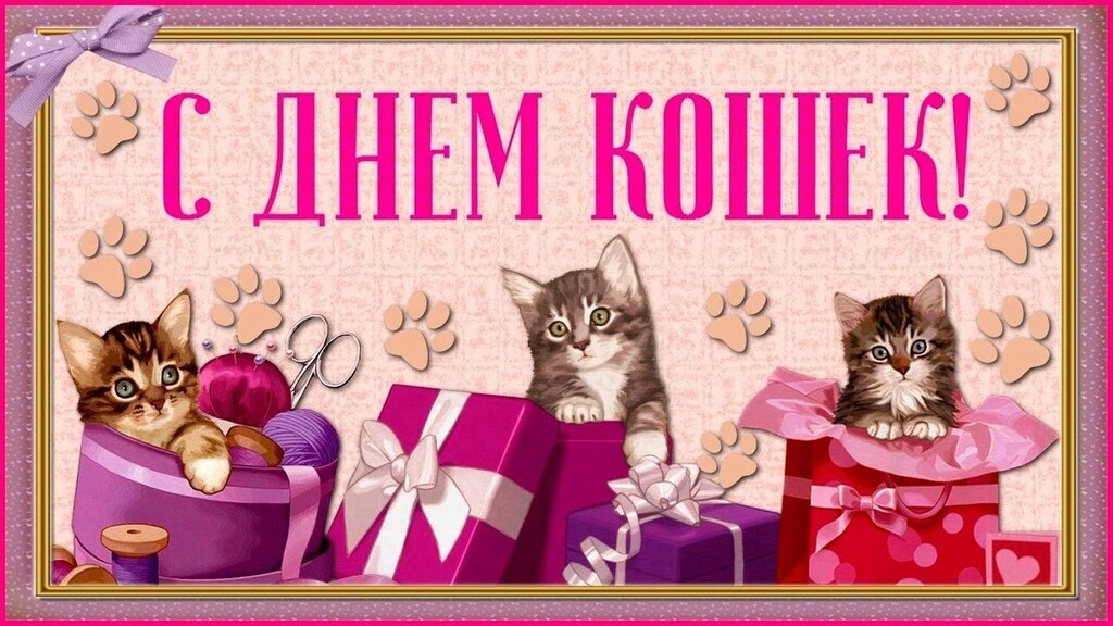 День кошек