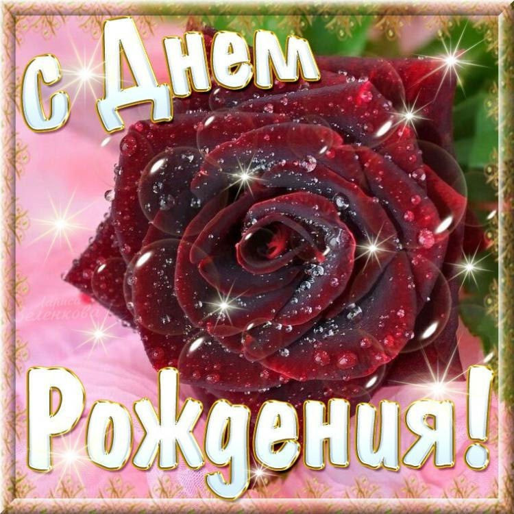 День рождения