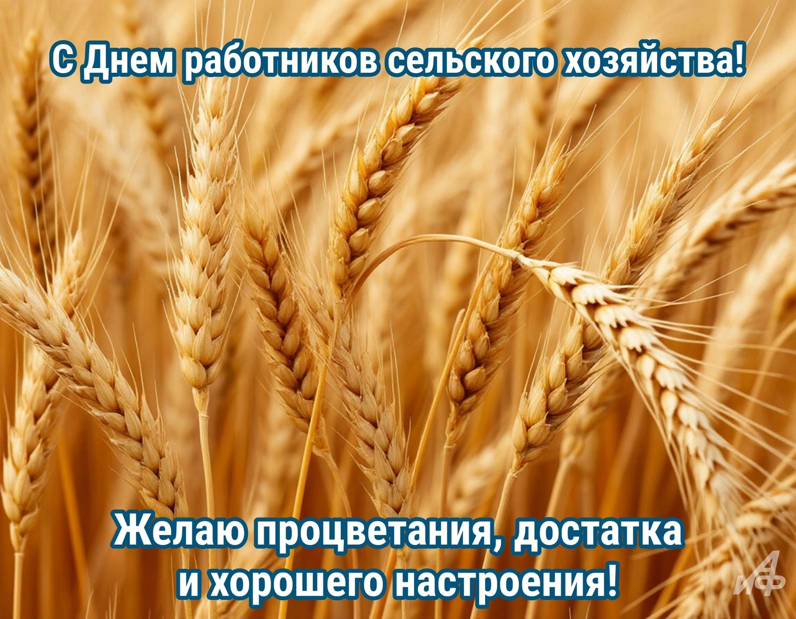Открытка «День работников сельского хозяйства и перерабатывающей промышленности» №8307
