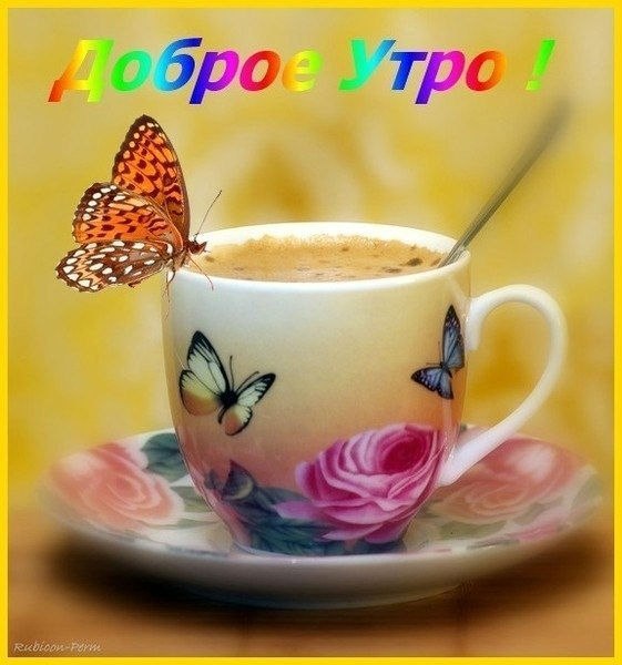 Доброе утро