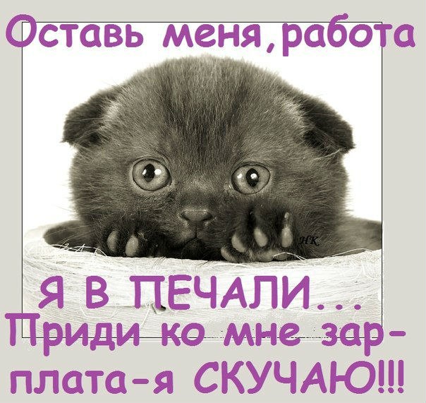 Приколы