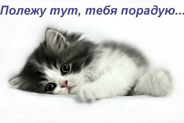 Открытка «Привет» №2396