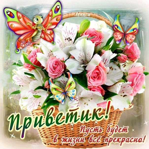 Привет