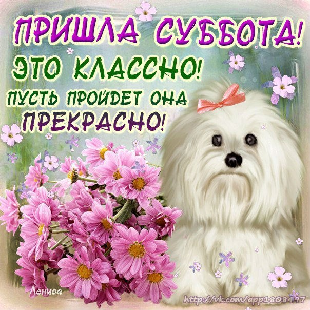 Открытка «Суббота» №1526
