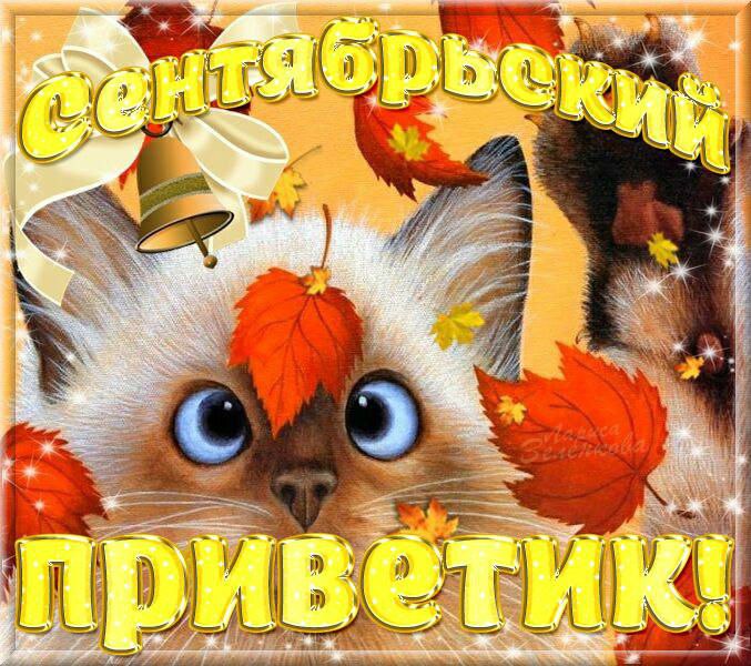 Привет