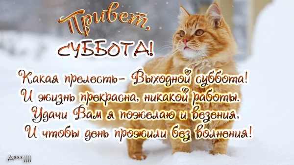 Суббота