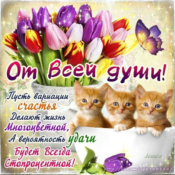 Для друзей