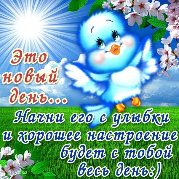 Доброе утро