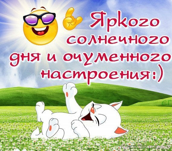 Доброе утро