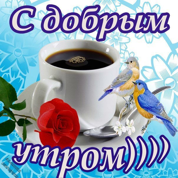 Доброе утро