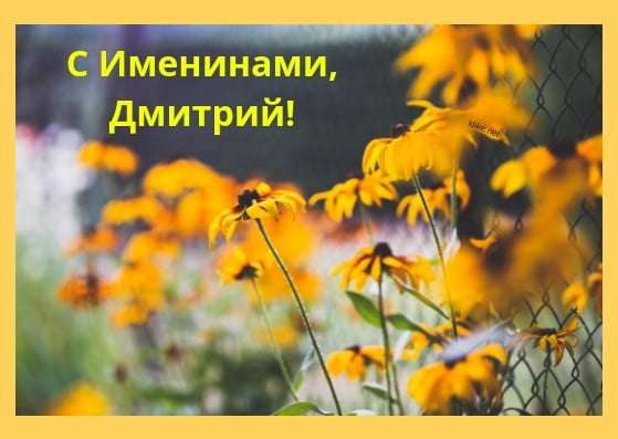 Открытка «Д» №6168